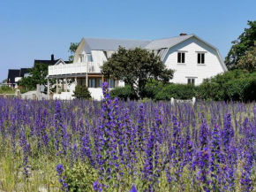 Villa Neptuni lägenhet och rumsuthyrning